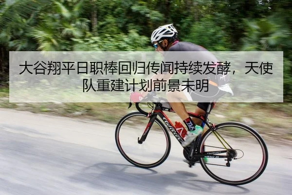 大谷翔平日职棒回归传闻持续发酵，天使队重建计划前景未明